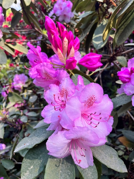 23-06-03 17-23-08 5825.jpeg